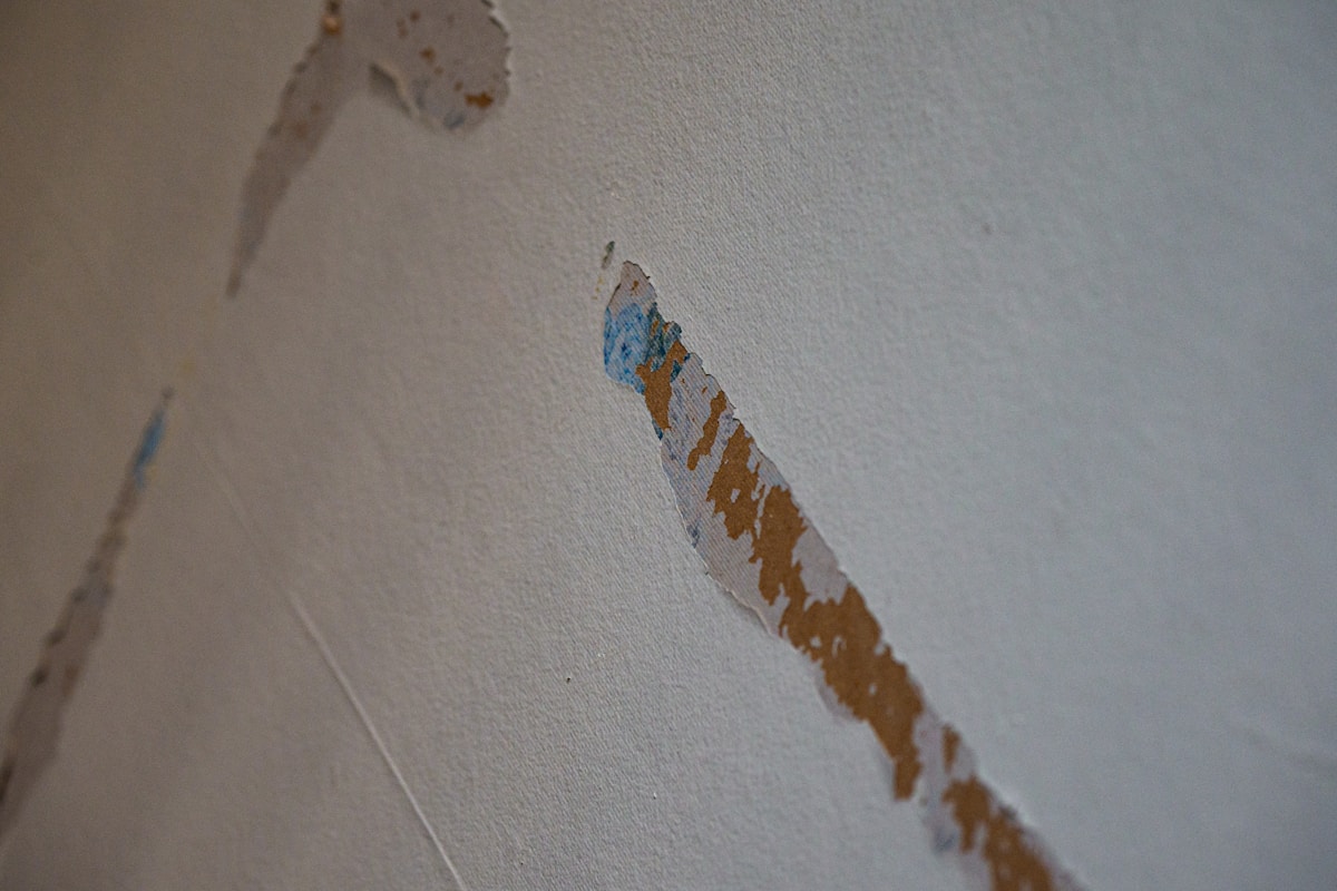 Mold Remediation service in St. Clair Shores, MI